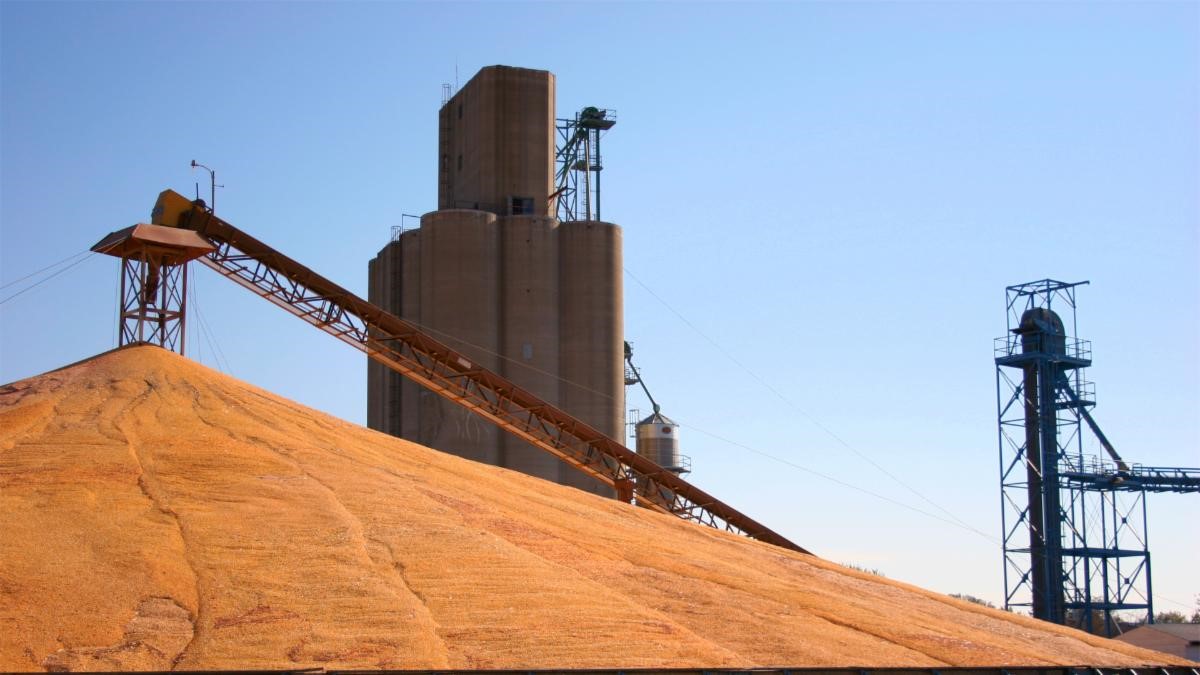 Concrete grain elevator and ground pile of grain